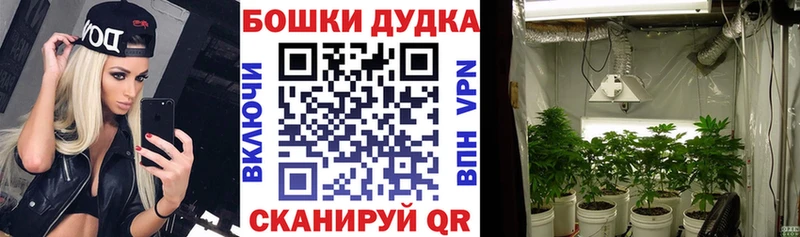 Купить Конопля  КОКАИН  Псилоцибиновые грибы  Кетамин  A-PVP  Мефедрон  Семилуки