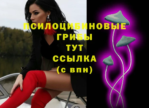 гашиш Бородино