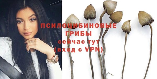 дмт Бугульма