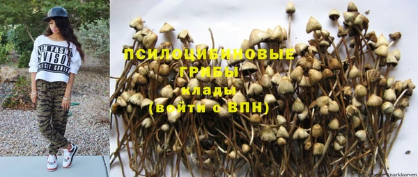 дмт Бугульма